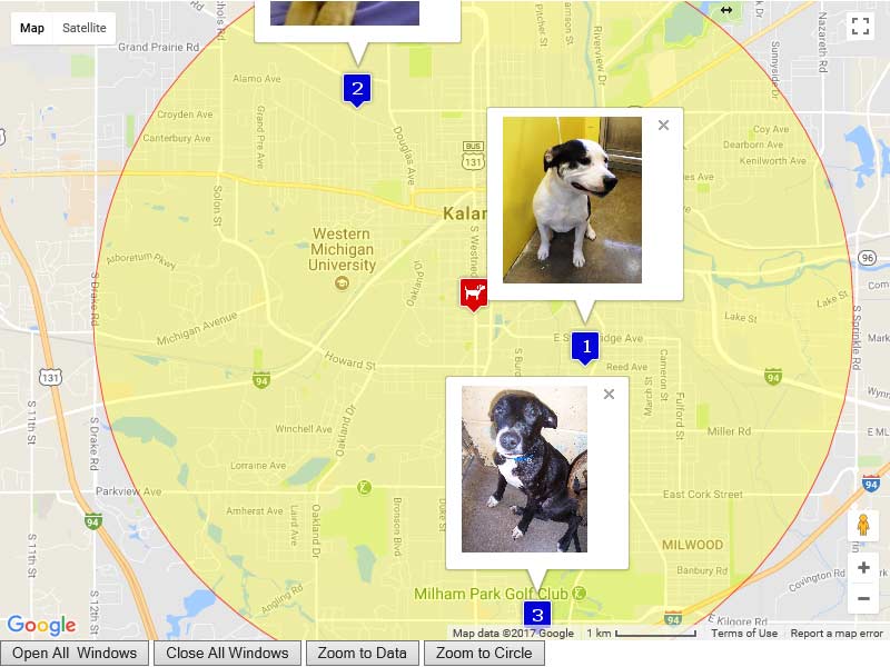 Lost Animals Proximity Map