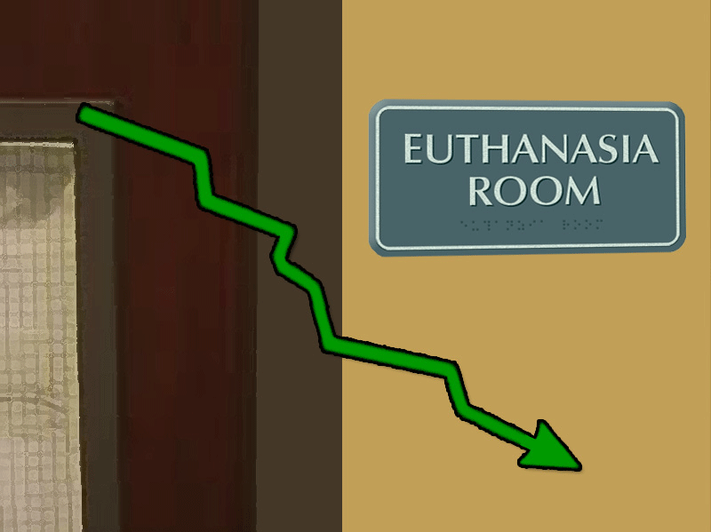 Minimize Euthanizing Animals